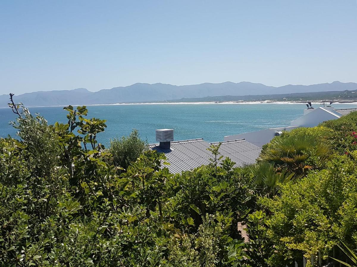 Amazing Grace B&B Gansbaai Εξωτερικό φωτογραφία